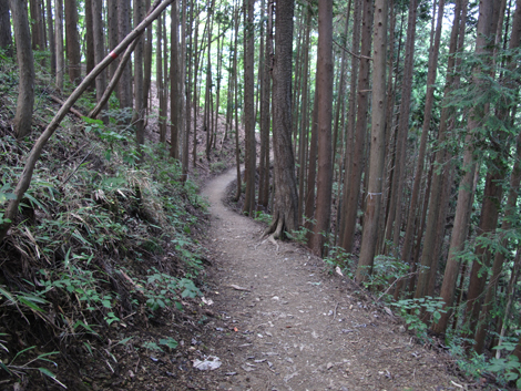 20150929hike (135)